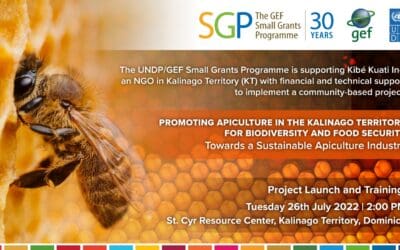 Bee Project
