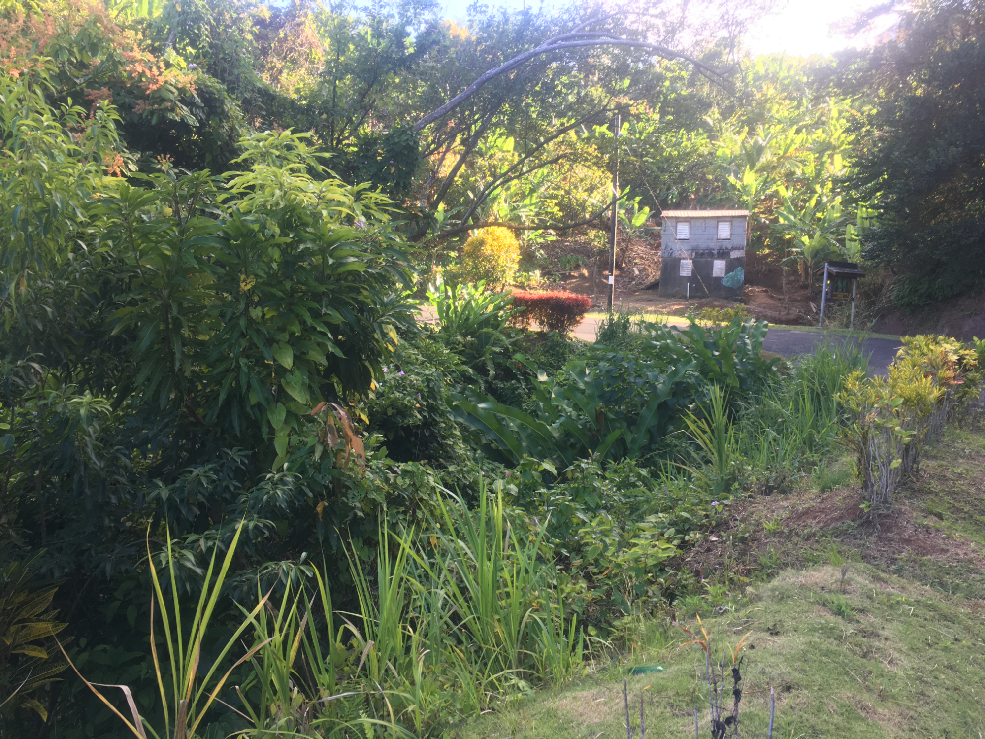 Land1