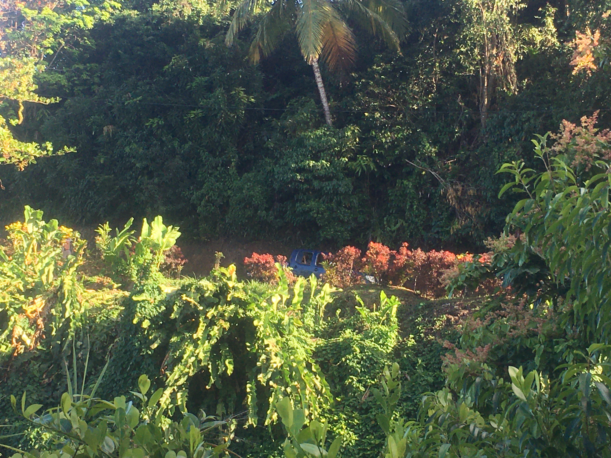 land3