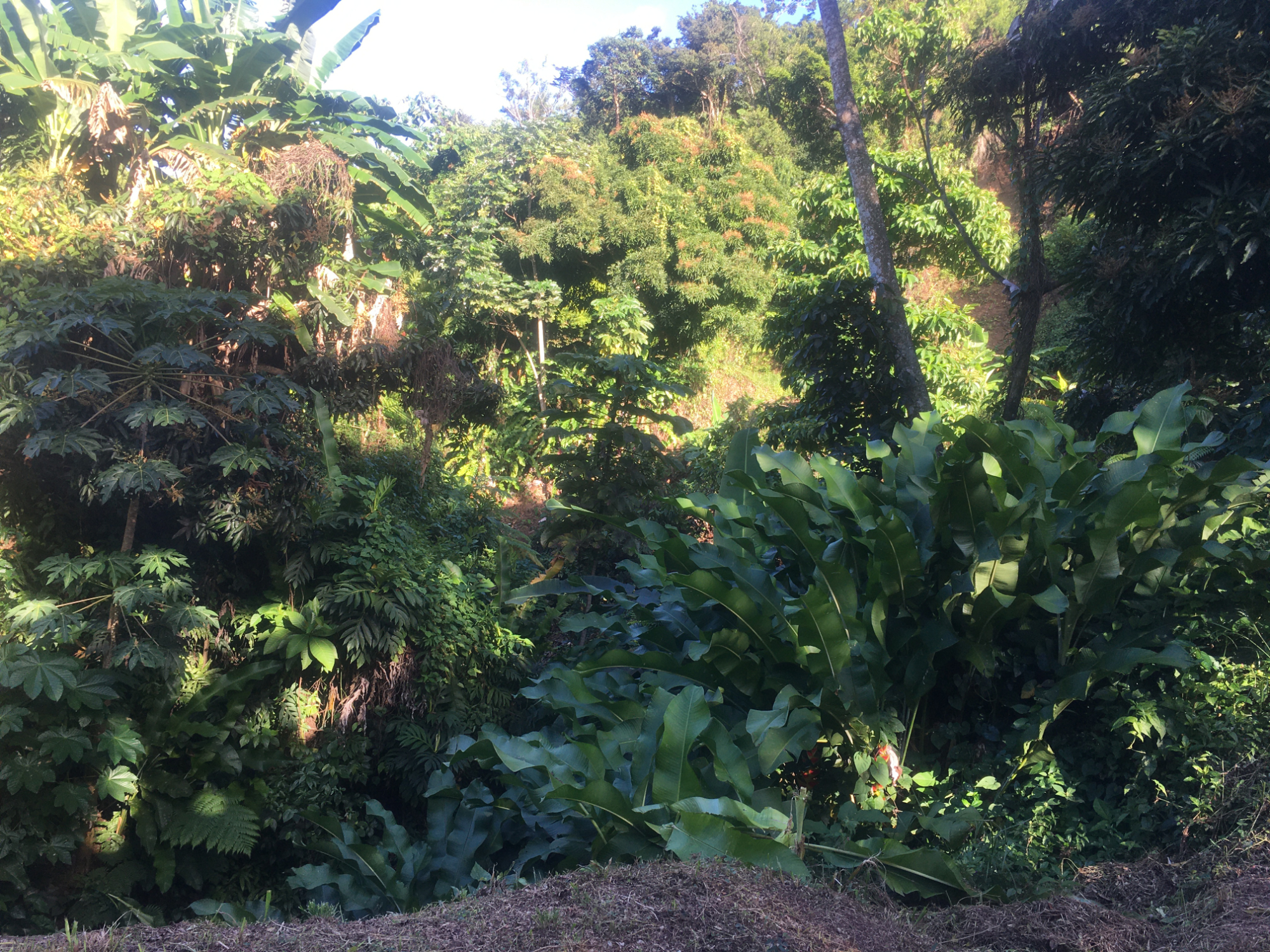 land4