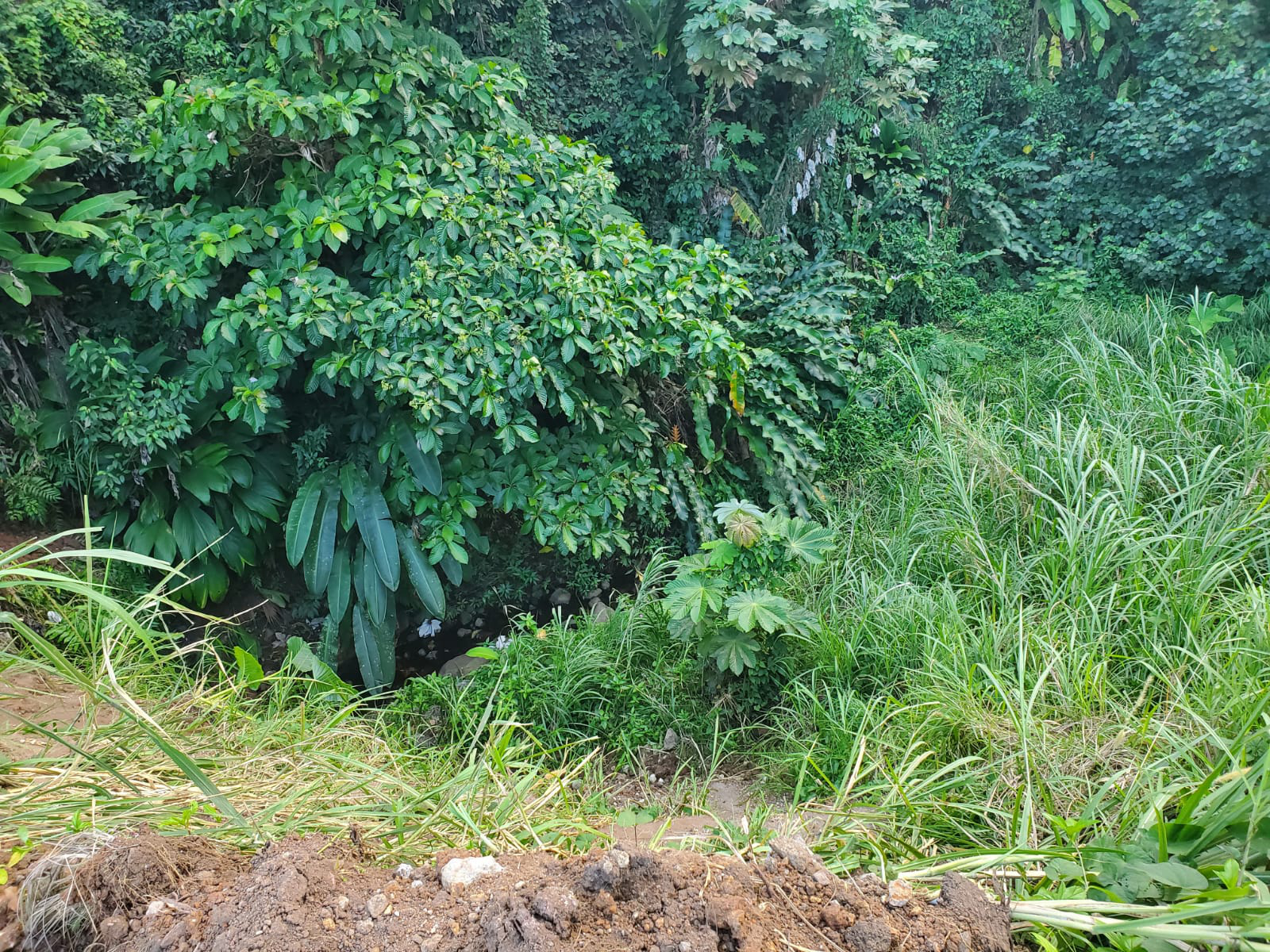 land6